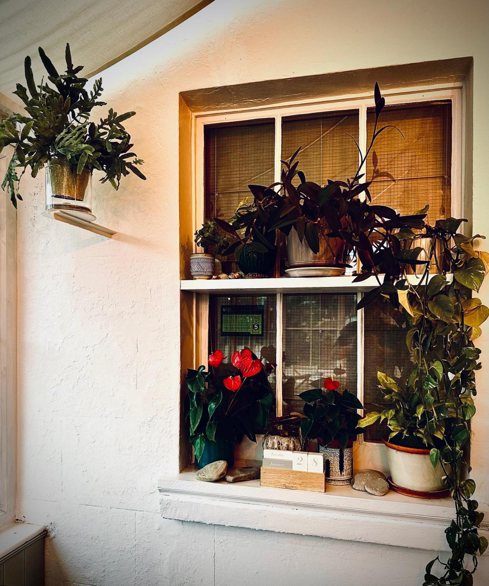 Bed and Breakfast The Laindons Hastings Exterior foto